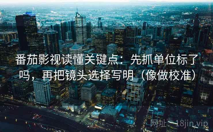 番茄影视读懂关键点：先抓单位标了吗，再把镜头选择写明（像做校准）