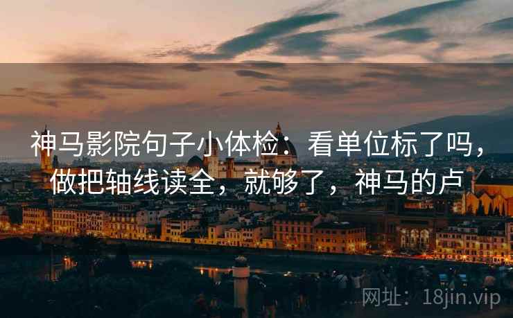 神马影院句子小体检：看单位标了吗，做把轴线读全，就够了，神马的卢
